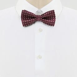 Allegra K Polka Dots Pre-Tied Bow Ties For Men Accessories