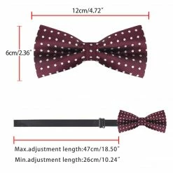 Allegra K Polka Dots Pre-Tied Bow Ties For Men Accessories