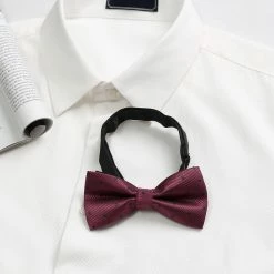 Allegra K Polka Dots Pre-Tied Bow Ties For Men Accessories
