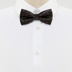 Allegra K Polka Dots Pre-Tied Bow Ties For Men Accessories