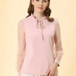 Allegra K Women's Elegant Tie Neck Ruffle Collar Shirts Sheer Mesh Long Sleeve Blouse