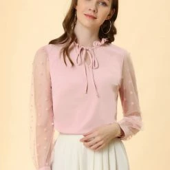 Allegra K Women's Elegant Tie Neck Ruffle Collar Shirts Sheer Mesh Long Sleeve Blouse