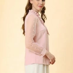 Allegra K Women's Elegant Tie Neck Ruffle Collar Shirts Sheer Mesh Long Sleeve Blouse