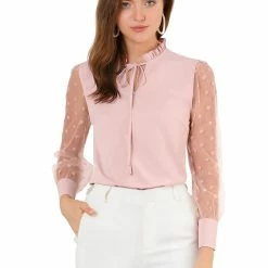 Allegra K Women's Elegant Tie Neck Ruffle Collar Shirts Sheer Mesh Long Sleeve Blouse