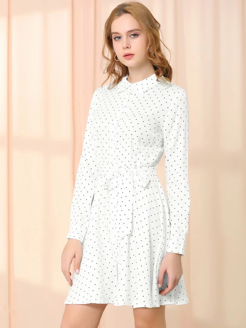 Allegra K Women's Polka Dots Long Sleeve Button Up A Line Shirt Dress 12 Allegra K Women's Polka Dots Long Sleeve Button Up A Line Shirt Dress