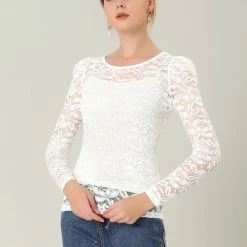Allegra K Women's Lace Embroidery Semi Sheer Vintage Puff Sleeve Top