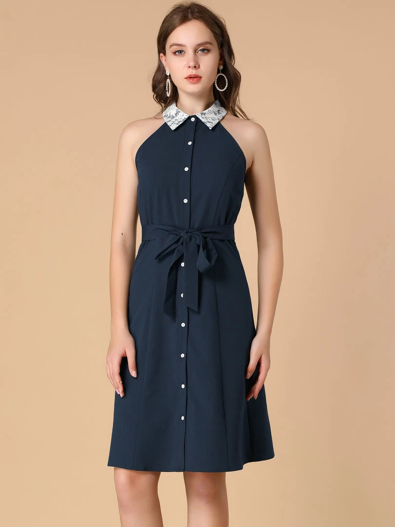 Allegra K Women's Vintage Button Front Sleeveless Contrast Lace Panel Point Collar Dress 5 Allegra K Women's Vintage Button Front Sleeveless Contrast Lace Panel Point Collar Dress