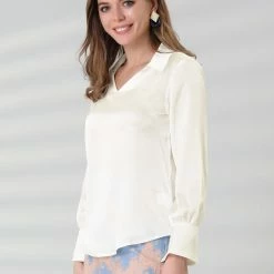 Allegra K Women's Turndown Collar V Neck Solid Long Sleeve Office Work Blouse