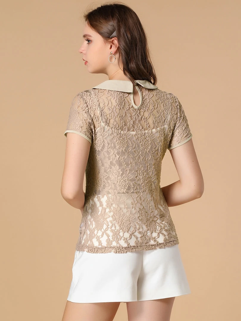 Allegra K Women's Contrast Doll Collar Short Sleeve Tops Sheer Lace Top 26 Allegra K Women's Contrast Doll Collar Short Sleeve Tops Sheer Lace Top