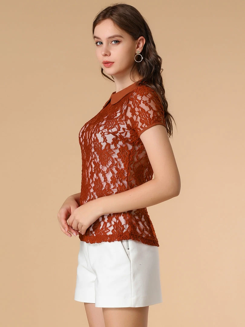 Allegra K Women's Contrast Doll Collar Short Sleeve Tops Sheer Lace Top 7 Allegra K Women's Contrast Doll Collar Short Sleeve Tops Sheer Lace Top