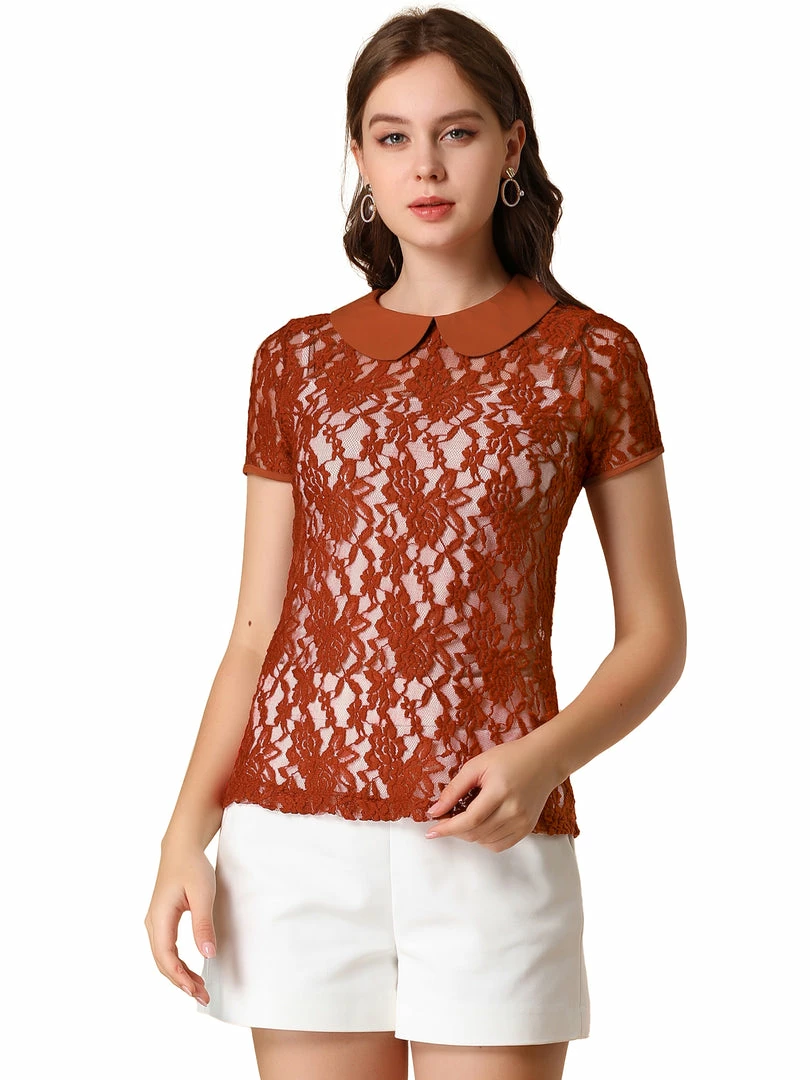 Allegra K Women's Contrast Doll Collar Short Sleeve Tops Sheer Lace Top 4 Allegra K Women's Contrast Doll Collar Short Sleeve Tops Sheer Lace Top