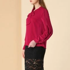 Allegra K Women's Long Sleeve Tops Tie V Neck Contrast Color Piped Work Loose Blouse T Shirts