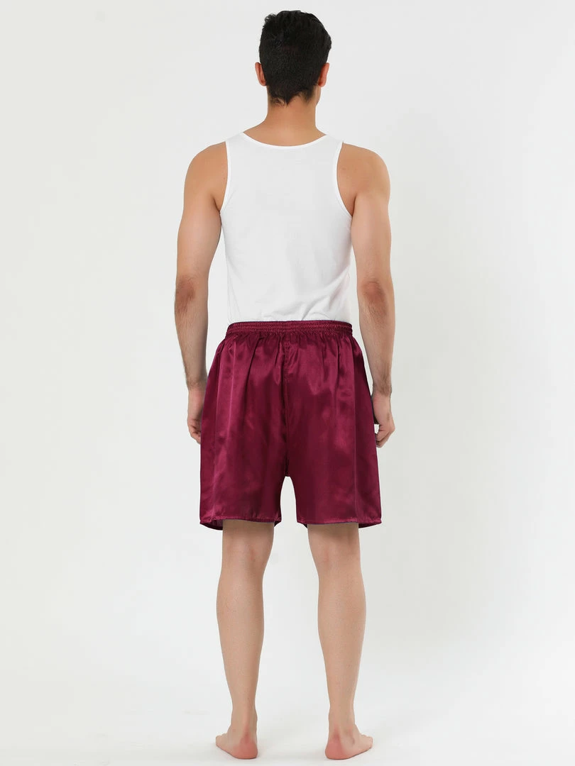 Allegra K Men's Sleepwear Satin Shorts Elastic Waist Lounge Pajama Bottoms 19 Allegra K Men's Sleepwear Satin Shorts Elastic Waist Lounge Pajama Bottoms