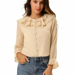 Allegra K Women's Ruffle Neck Polka Dot Button Front Sheer Chiffon Blouse