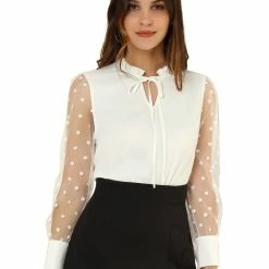 Allegra K Women's Elegant Tie Neck Ruffle Collar Shirts Sheer Mesh Long Sleeve Blouse