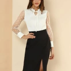 Allegra K Women's Elegant Tie Neck Ruffle Collar Shirts Sheer Mesh Long Sleeve Blouse