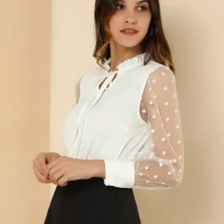 Allegra K Women's Elegant Tie Neck Ruffle Collar Shirts Sheer Mesh Long Sleeve Blouse