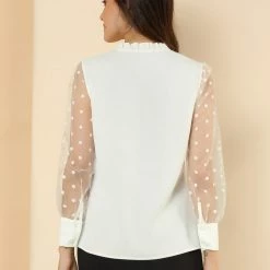 Allegra K Women's Elegant Tie Neck Ruffle Collar Shirts Sheer Mesh Long Sleeve Blouse