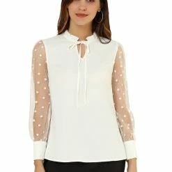 Allegra K Women's Elegant Tie Neck Ruffle Collar Shirts Sheer Mesh Long Sleeve Blouse