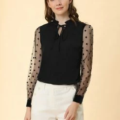Allegra K Women's Elegant Tie Neck Ruffle Collar Shirts Sheer Mesh Long Sleeve Blouse