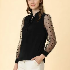 Allegra K Women's Elegant Tie Neck Ruffle Collar Shirts Sheer Mesh Long Sleeve Blouse
