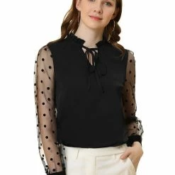 Allegra K Women's Elegant Tie Neck Ruffle Collar Shirts Sheer Mesh Long Sleeve Blouse