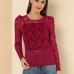 Allegra K Women's Lace Embroidery Semi Sheer Vintage Puff Sleeve Top