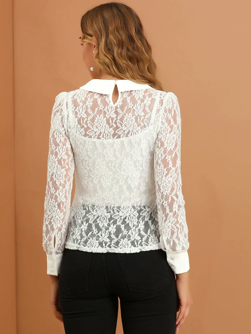 Allegra K Women's Long Sleeve Sheer Lace Blouse Peter Pan Collar Top 8 Allegra K Women's Long Sleeve Sheer Lace Blouse Peter Pan Collar Top