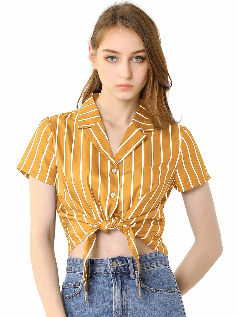 Allegra K Retro Striped Button Up Short Sleeve Tie Front Crop Shirt Women 34 Allegra K Retro Striped Button Up Short Sleeve Tie Front Crop Shirt Women
