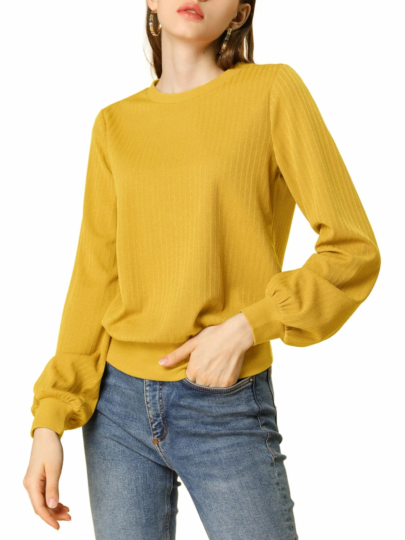 Allegra K Ribbed Pullover Sweater With Lantern Sleeves Women 46 Allegra K Ribbed Pullover Sweater With Lantern Sleeves Women