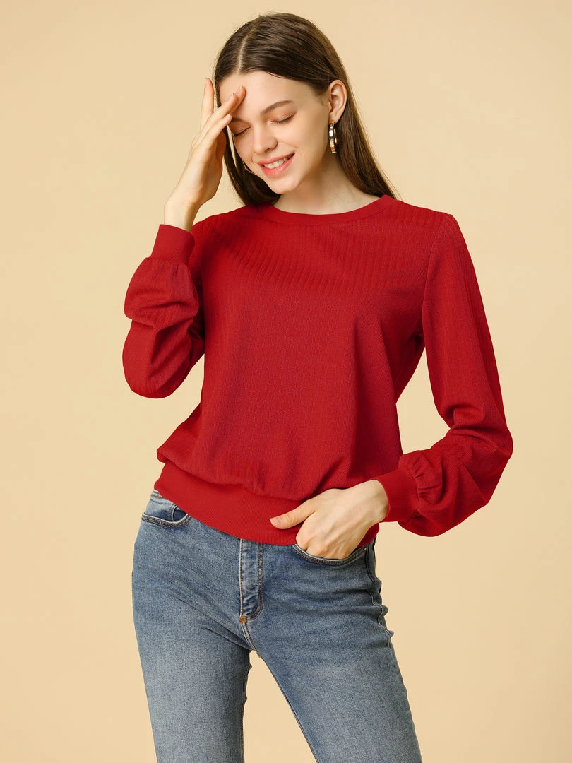 Allegra K Ribbed Pullover Sweater With Lantern Sleeves Women 54 Allegra K Ribbed Pullover Sweater With Lantern Sleeves Women