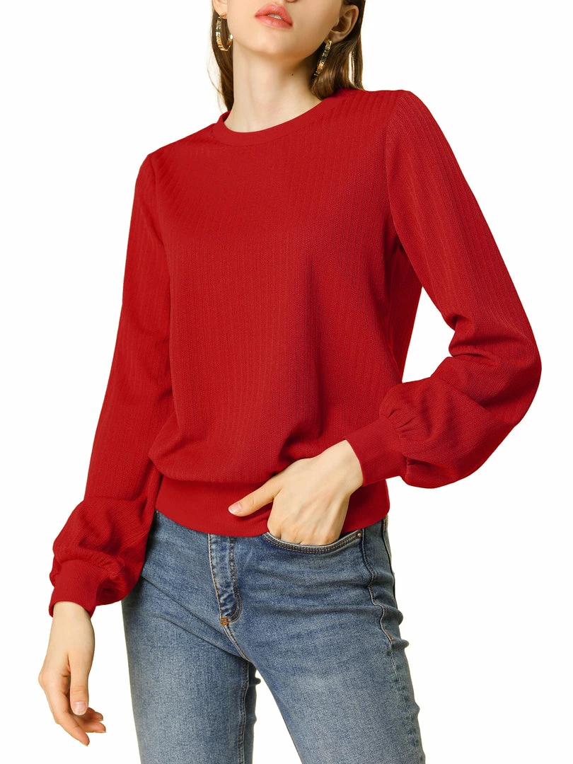 Allegra K Ribbed Pullover Sweater With Lantern Sleeves Women 52 Allegra K Ribbed Pullover Sweater With Lantern Sleeves Women