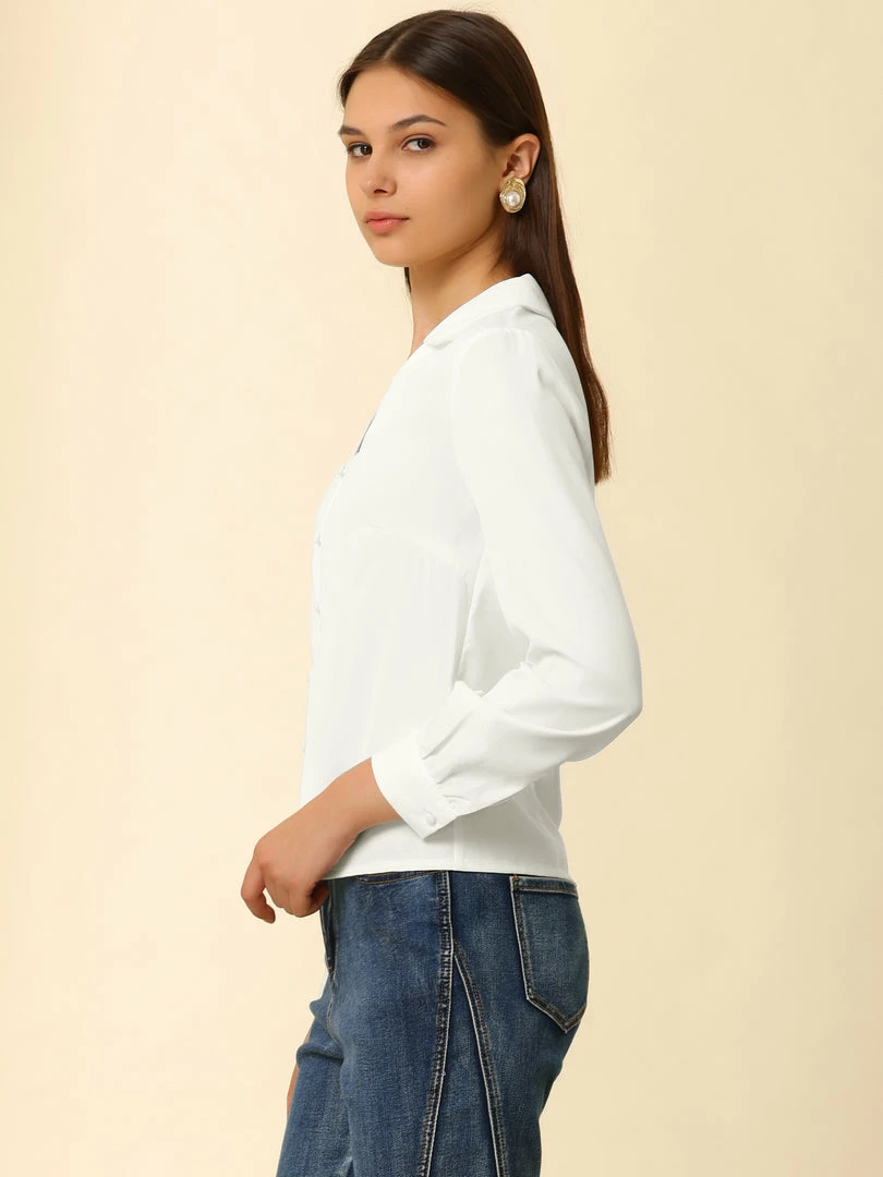 Allegra K Women's Work Vintage Button Down Business Casual Top 7 Allegra K Women's Work Vintage Button Down Business Casual Top