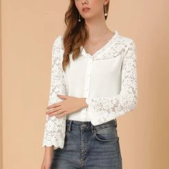 Allegra K Women's Lace Floral Panel Blouse Ruffle Trim V Neck Long Sleeves Button Front Chiffon Top
