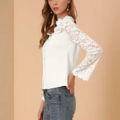 Allegra K Women's Lace Floral Panel Blouse Ruffle Trim V Neck Long Sleeves Button Front Chiffon Top