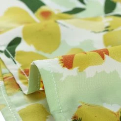 Allegra K Women's Floral Print V Neck Pleated Waist Lantern Long Sleeve Crop Top