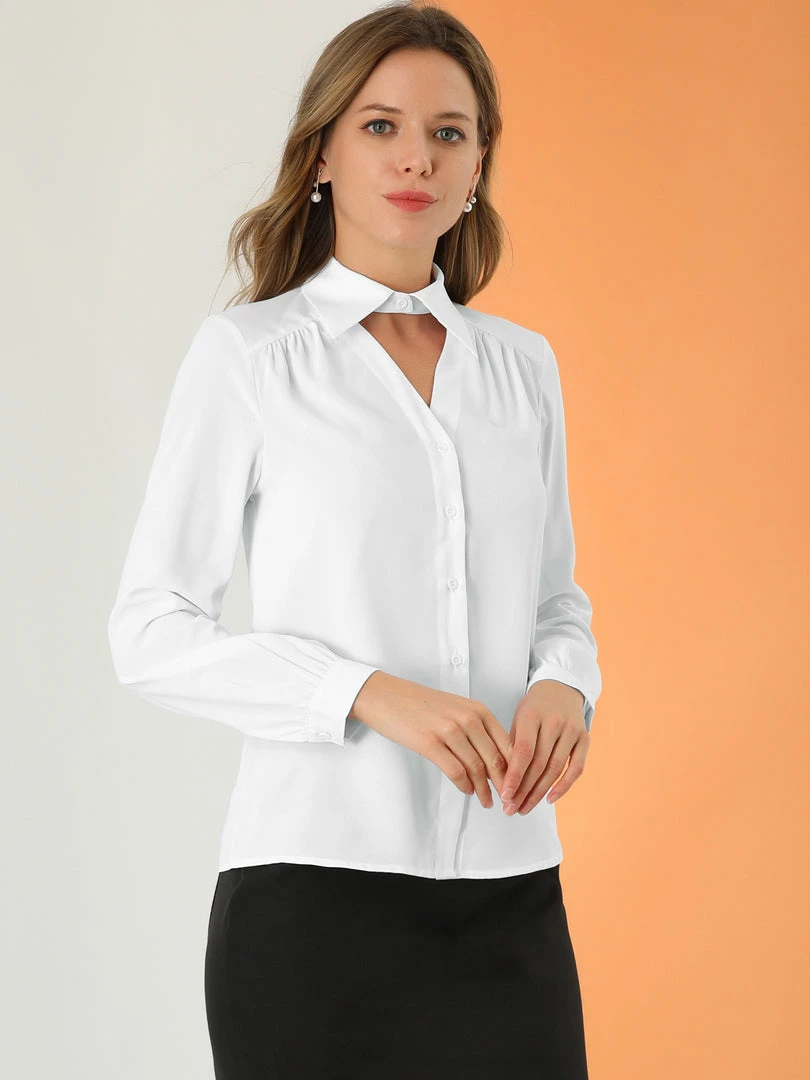 Allegra K Women's Choker Neck Blouse Long Sleeve Turn Down Collar Work Shirt 7 Allegra K Women's Choker Neck Blouse Long Sleeve Turn Down Collar Work Shirt