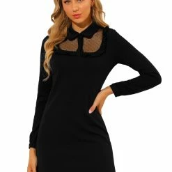 Allegra K Women's Mesh Sheer Panel Peter Pan Collar Dots A-line Mini Dress