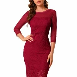 Allegra K Women's Elegant Mesh Sheer Long Sleeve Stretch Knit Floral Lace Dress