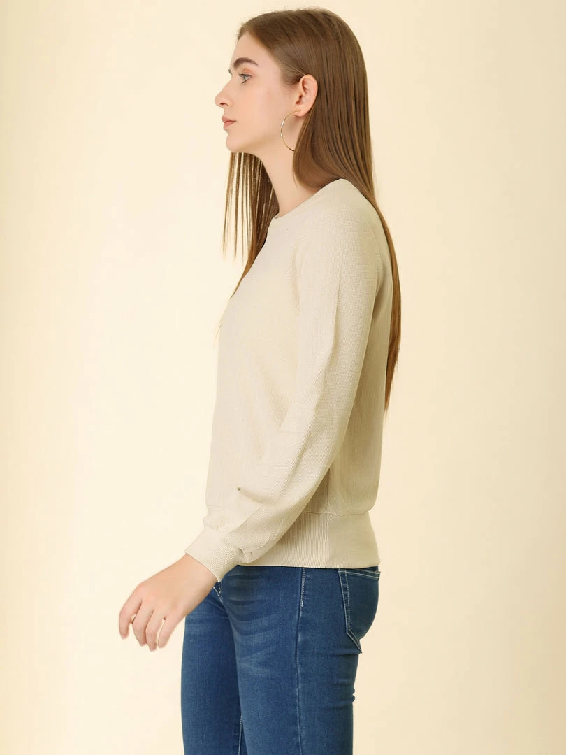 Allegra K Ribbed Pullover Sweater With Lantern Sleeves Women 67 Allegra K Ribbed Pullover Sweater With Lantern Sleeves Women