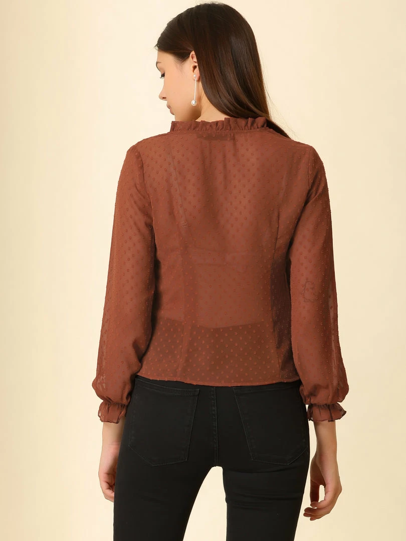 Allegra K Women's Elegant Chiffon Top Long Sleeve Mesh V Neck Blouse 8 Allegra K Women's Elegant Chiffon Top Long Sleeve Mesh V Neck Blouse