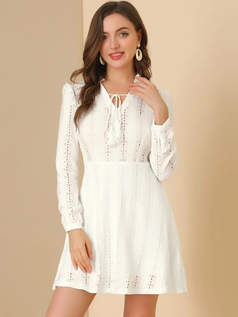 Allegra K Women's A-Line V Neck Semi Sheer Lace Dress 4 Allegra K Women's A-Line V Neck Semi Sheer Lace Dress