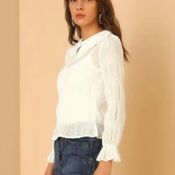 Allegra K Women's Peter Pan Collar Long Sleeve Sheer Swiss Dots Chiffon Blouse