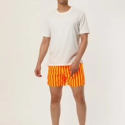 Allegra K Men's Summer Striped Mesh Lining Drawstring Waist Swim Shorts With Pockets