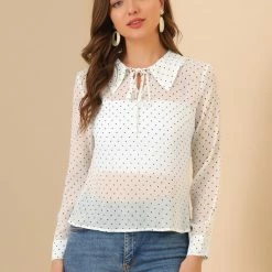 Allegra K Women's Heart Dots Turn Down Collar Sheer Long Sleeve Chiffon Blouse Top