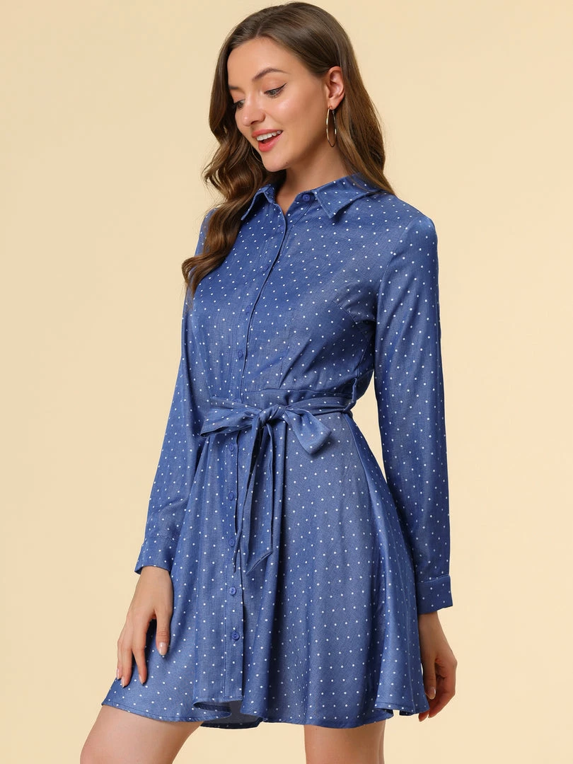 Allegra K Women's Polka Dots Long Sleeve Button Up A Line Shirt Dress 24 Allegra K Women's Polka Dots Long Sleeve Button Up A Line Shirt Dress