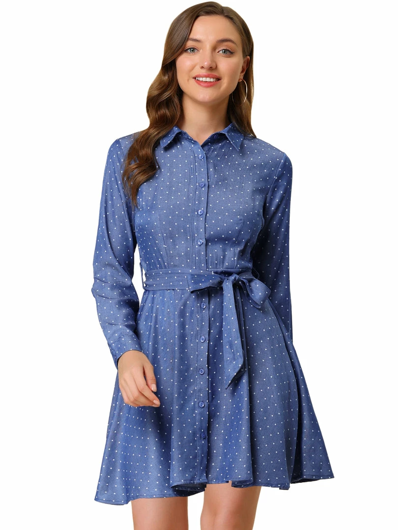 Allegra K Women's Polka Dots Long Sleeve Button Up A Line Shirt Dress 23 Allegra K Women's Polka Dots Long Sleeve Button Up A Line Shirt Dress