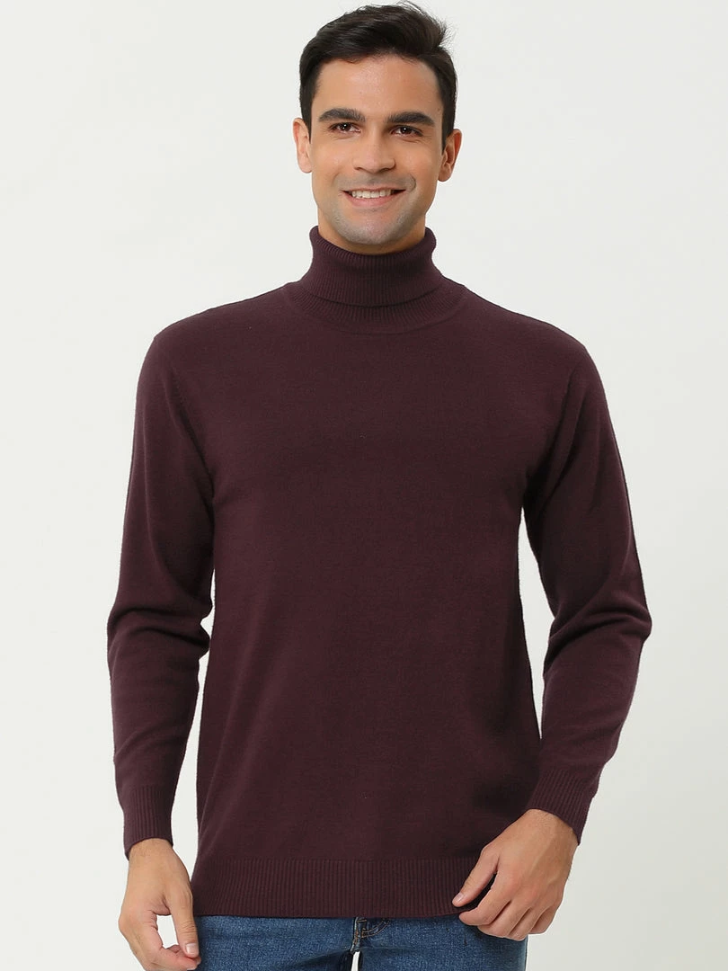 Allegra K Men's Casual Turtleneck Sweaters Slim Fit Long Sleeve Turtle Neck Knit Pullover Top 28 Allegra K Men's Casual Turtleneck Sweaters Slim Fit Long Sleeve Turtle Neck Knit Pullover Top