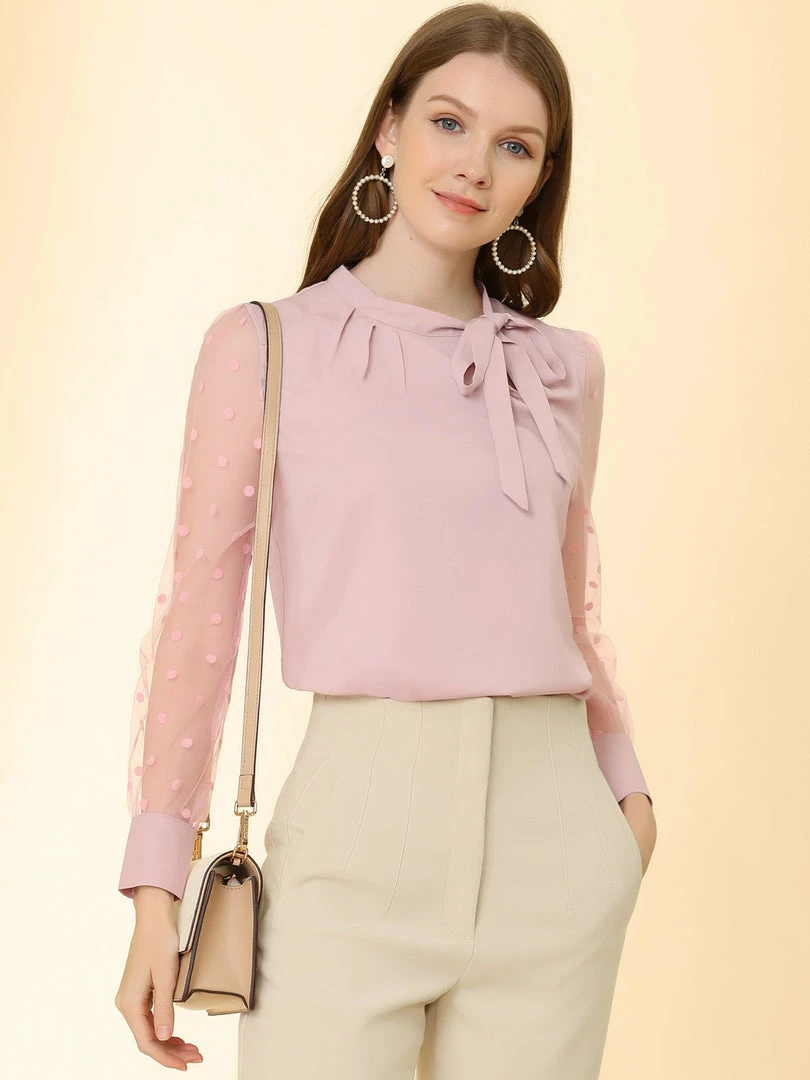 Allegra K Women's Tie Neck Work Tops Elegant Semi-Sheer Mesh Polka Dots Blouse 5 Allegra K Women's Tie Neck Work Tops Elegant Semi-Sheer Mesh Polka Dots Blouse