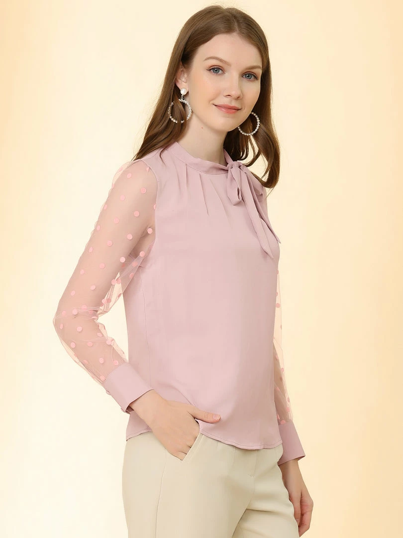 Allegra K Women's Tie Neck Work Tops Elegant Semi-Sheer Mesh Polka Dots Blouse 7 Allegra K Women's Tie Neck Work Tops Elegant Semi-Sheer Mesh Polka Dots Blouse